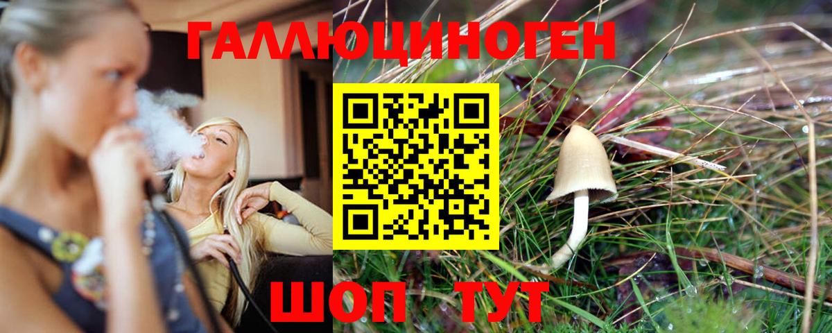 Галлюциногенные грибы Cubensis  наркота  Можайск  Вход с VPN 