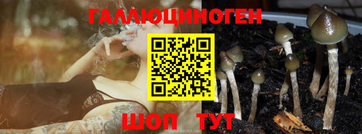 Галлюциногенные грибы GOLDEN TEACHER Можайск